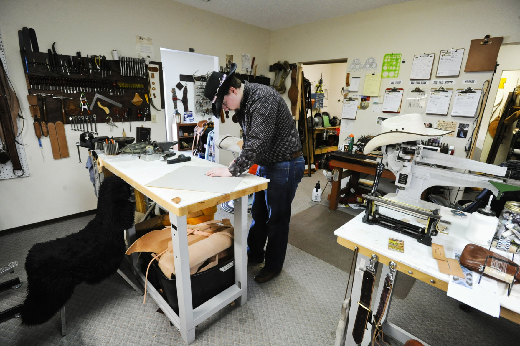 Sting Saddlery